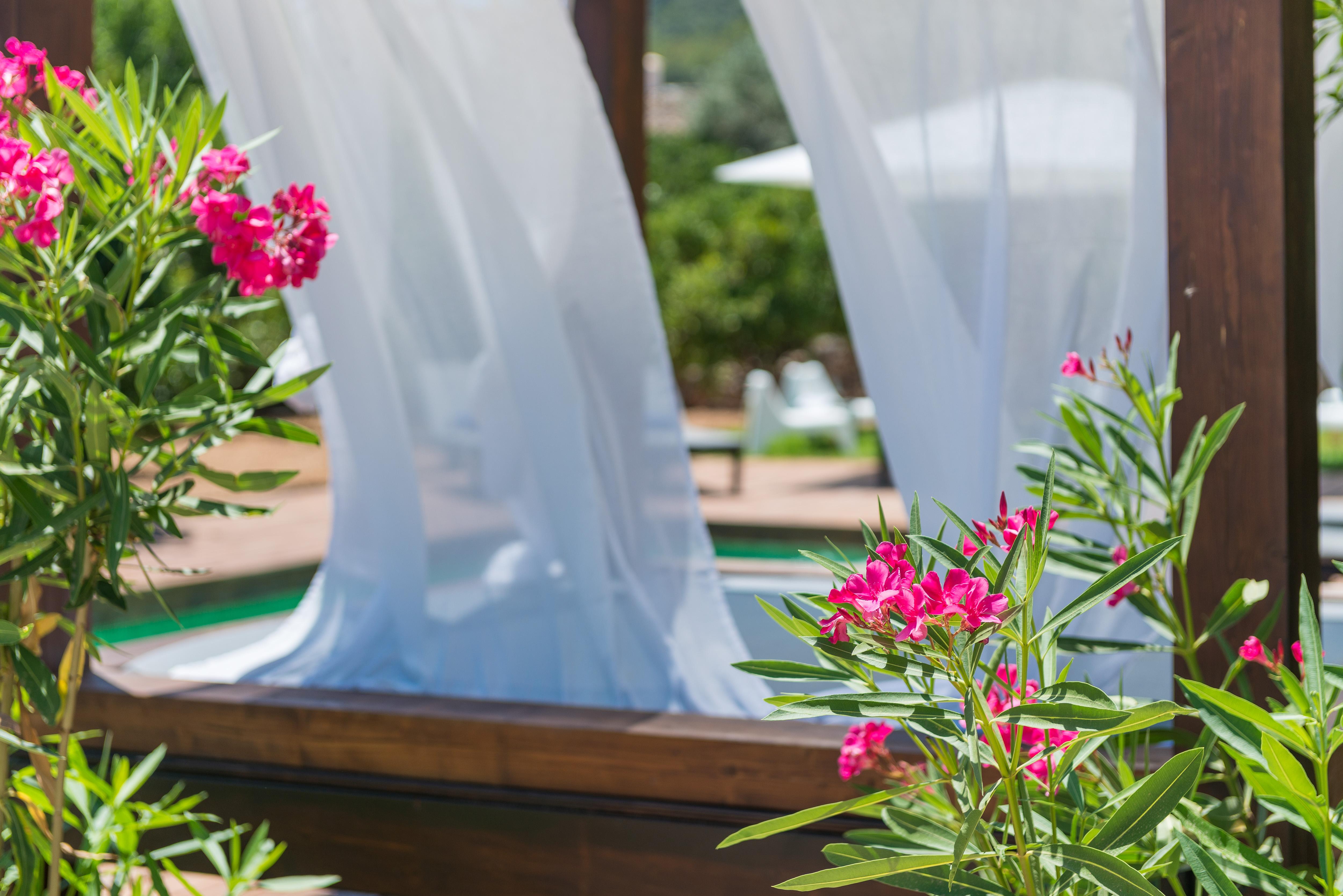 Hotel Turixant Mancor del Valle Экстерьер фото
